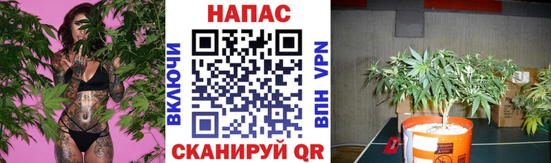 Цена Макушино Галлюциногенные грибы Гашиш МАРИХУАНА Alpha-PVP