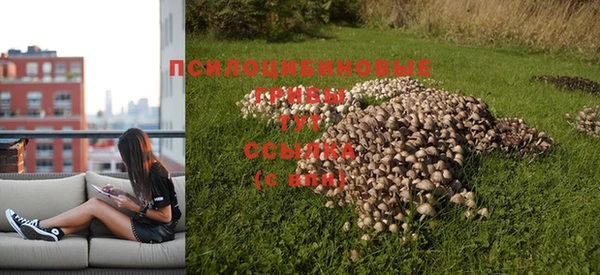 кокаин колумбия Алексеевка