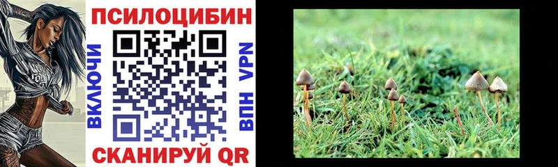 хочу   Макушино  Галлюциногенные грибы ЛСД 